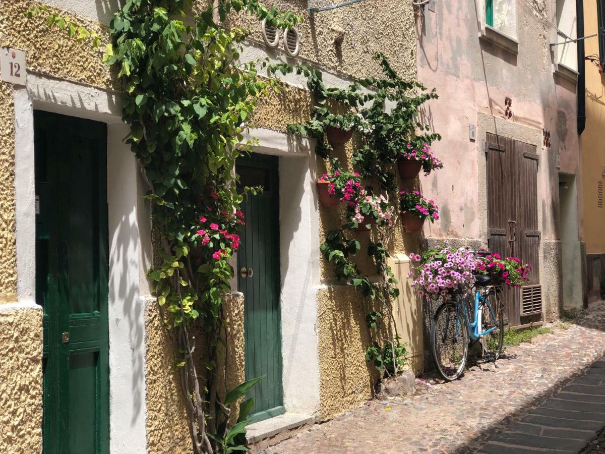 Protea House Διαμέρισμα Αλγκέρο Εξωτερικό φωτογραφία
